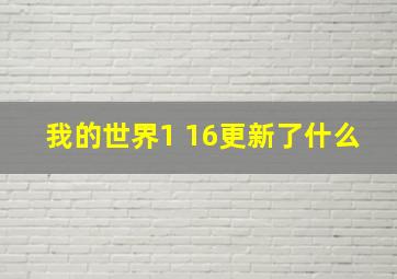 我的世界1 16更新了什么